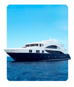 Liveaboard dressel divers