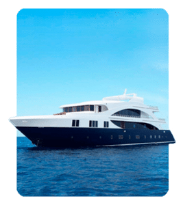 Liveaboard dressel divers