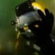 Low Visibility Diving (3) bucear con baja visibilidad