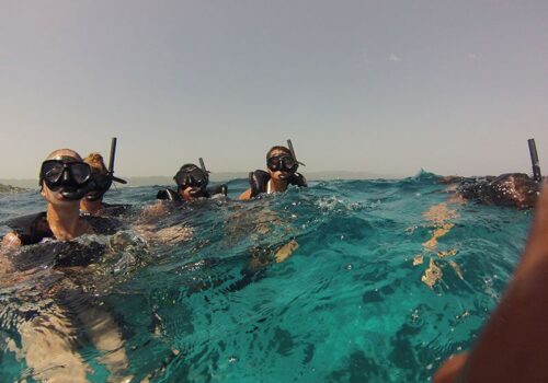 Lucea-Snorkelling-Dressel-Divers-4 Snorkel in Lucea - Snorkel en Lucea (4)