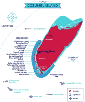 MAP-COZUMEL