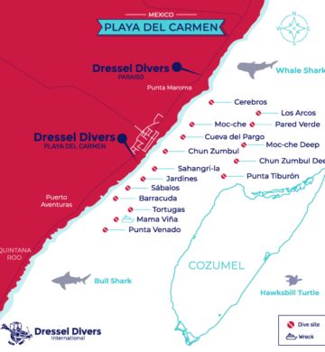 playa del carmen dive sites map