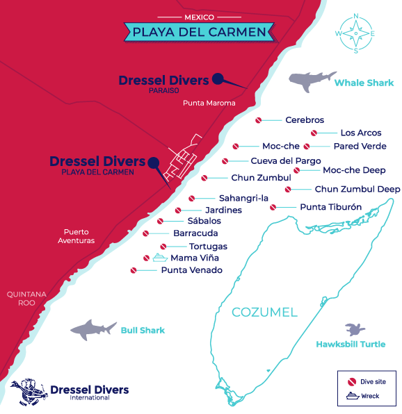 The 7 Best Playa Del Carmen Reefs for Diving, Maps & Pictures inc