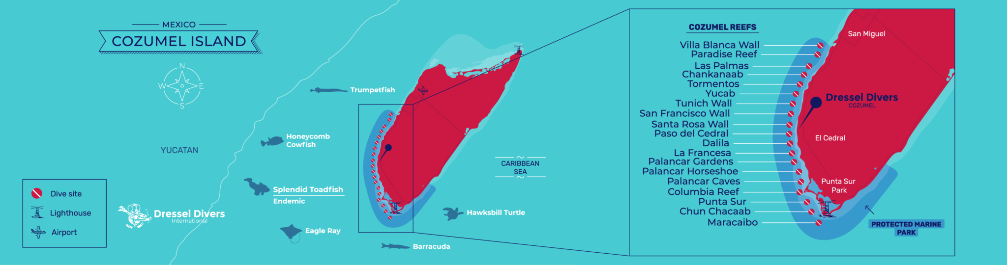 Tour y Excursión a COZUMEL con Dressel Divers