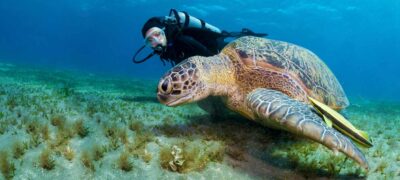 Montego Bay Marine Park Excursion