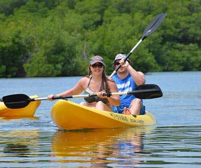 Mangrove Kayak Excursions and Tours