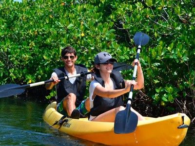 tours mangrove kayak