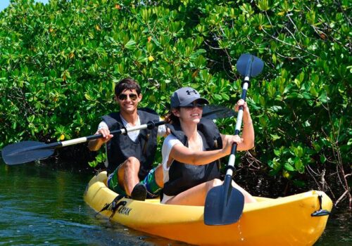 tours kayak