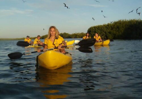 excursiones kayak