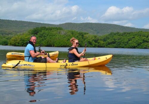 excursión kayak
