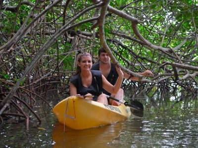 activités mangrove kayak