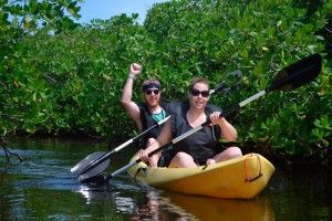 mangrove snorkeling excursion