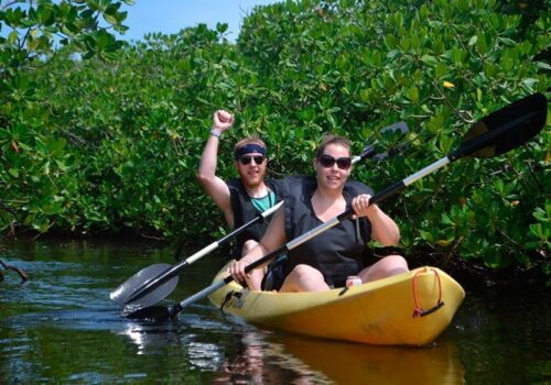 mangrove snorkeling excursion