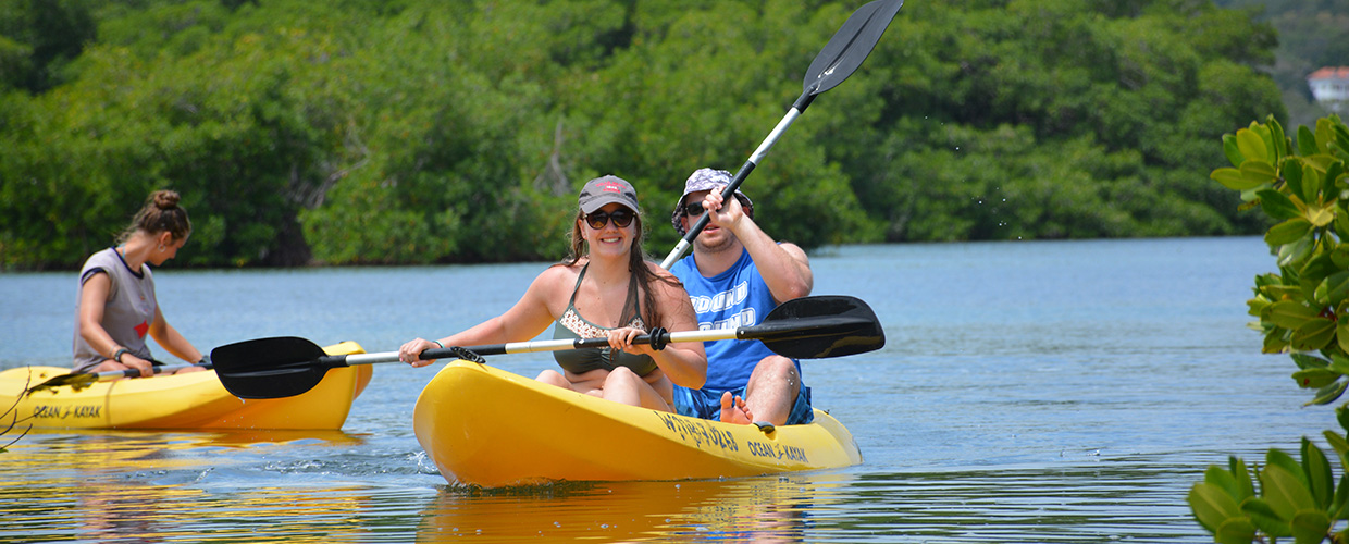 MANGROVE Kayaking Excursion