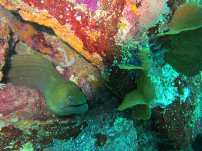 buceo islas marietas