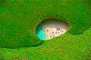 day trip marieta island - excursión a las islas marietas