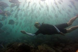 tours marieta islands