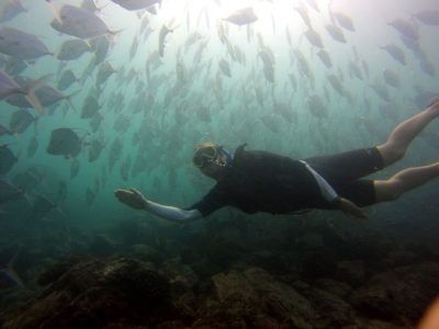tour Isole Marieta messico