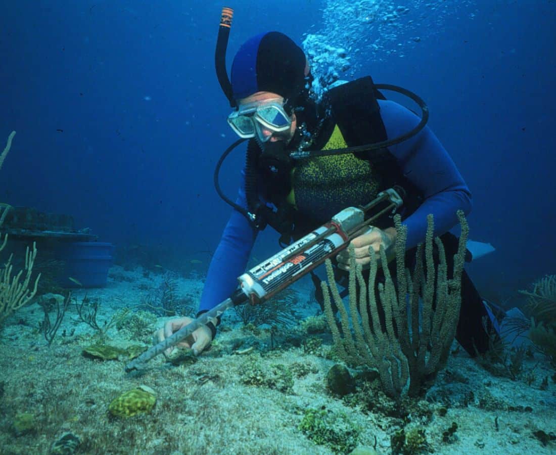 Marine Biologist At Work Dates Costs Tenerife Marine Biology Marine Biologist At Work Dates Costs Tenerife Marine Biology