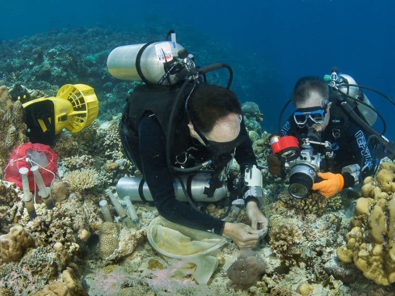 Marine Biologist Equipment