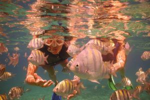 snorkel cenotes riviera maya