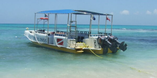 mechanic jobs - trabajar de mecánico de barcos