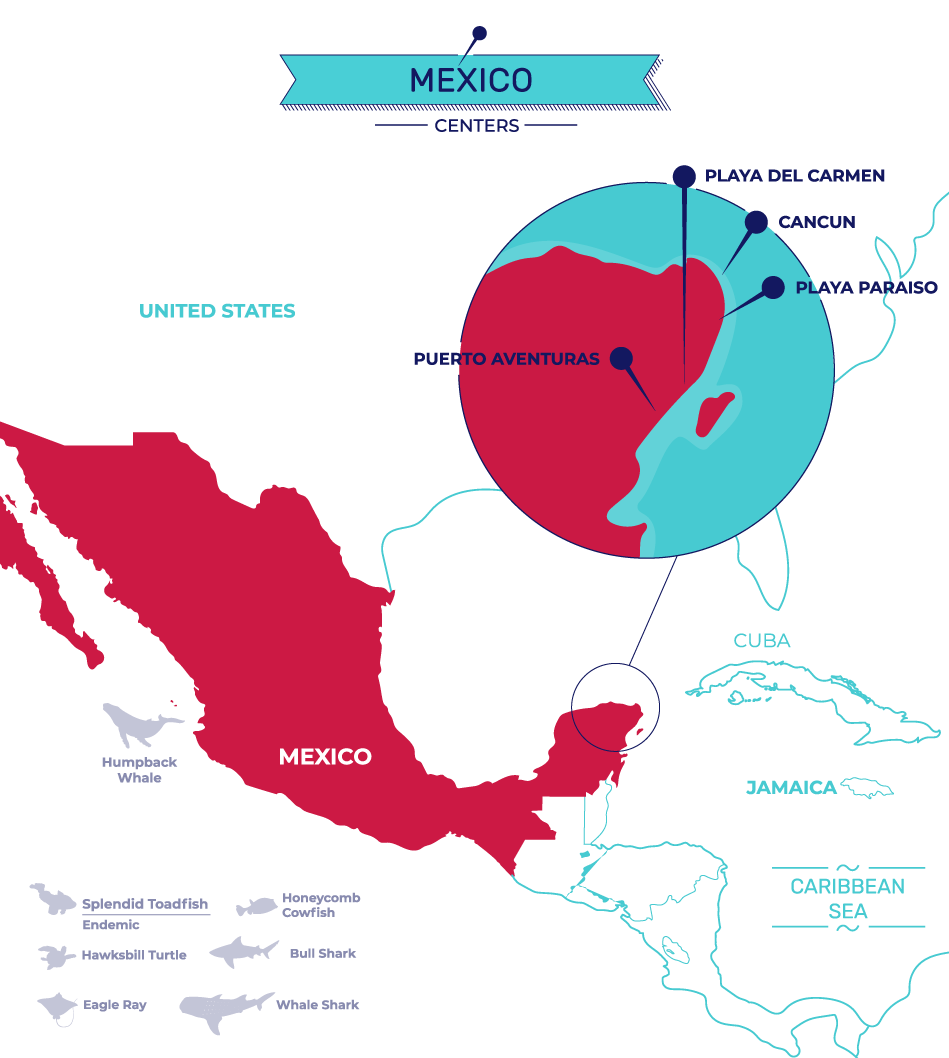 Mexico map without cozumel and vallarta