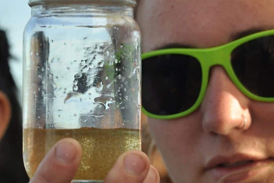 impact of Microplastics in the Ocean - 5 - el impacto de los microplásticos en el océano