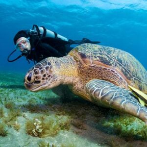 Montego Bay Marine Park Excursion and Tours