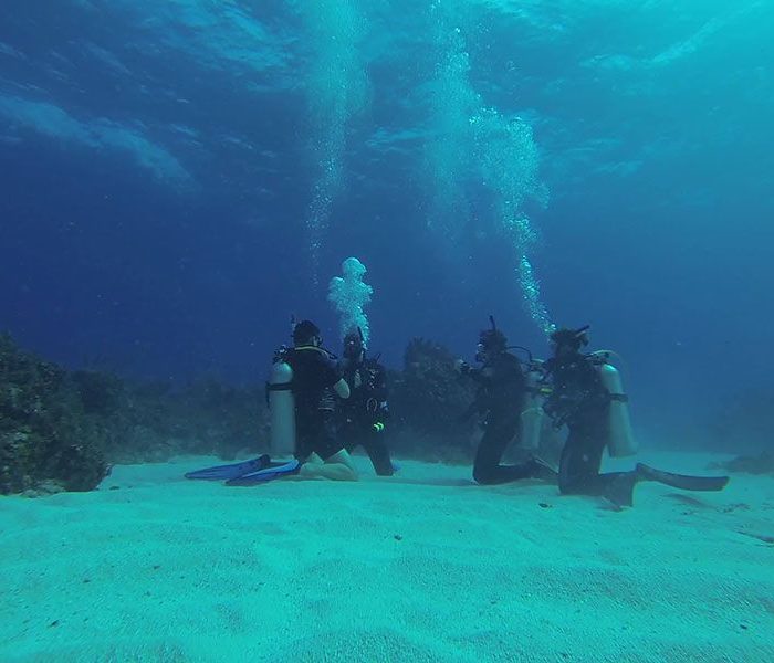 jamaica diving montego bay