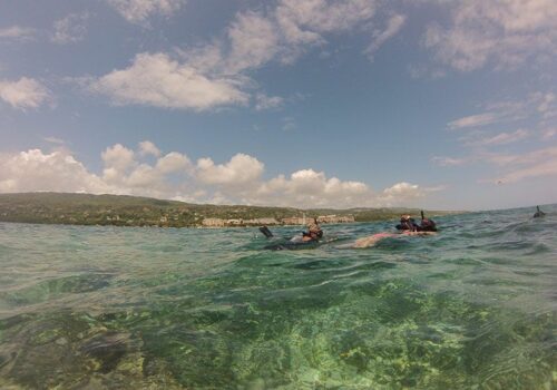 hacer snorkel en montego bay