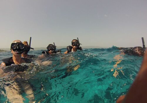 montego bay snorkeling trips