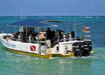 montego bay marine park day trips - excursión al parque marino de montego bay
