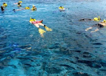 tours montego bay marine park