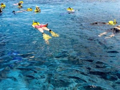 Montego bay marine park Tauchausflug