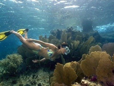 montego bay marine park tours