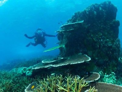 Montego bay marine park touren