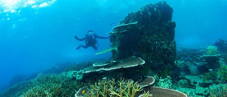 Adventure  Montego Bay Marine Park