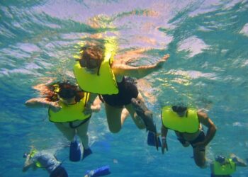 tour montego bay marine park - excursión al parque marino de montego bay