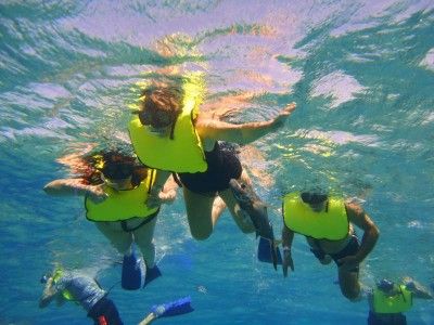 Montego bay marine park tour