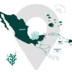 More-diving-less-commuting_scuba_diving More-diving-less-commuting_scuba_diving