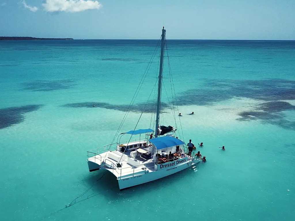 Morning Catamaran Morning Catamaran