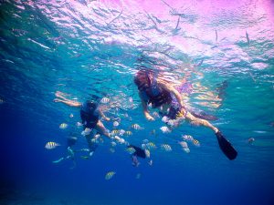 Natural Pool Cleaning Next Tuesday November 27 In Bavaro