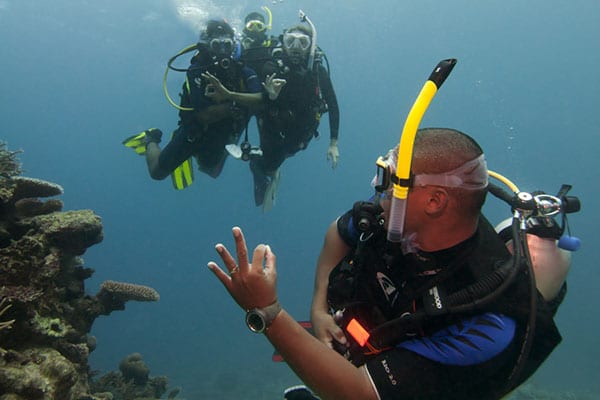 PADI Elearning - Divemaster Course