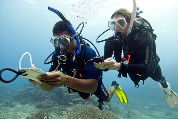 PADI Elearning - Open Water Diver