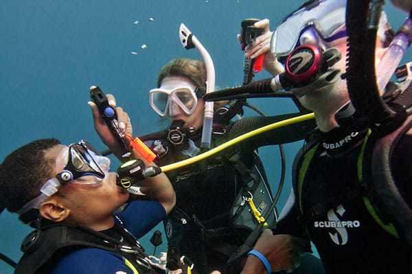 PADI Elearning - Rescue Diver