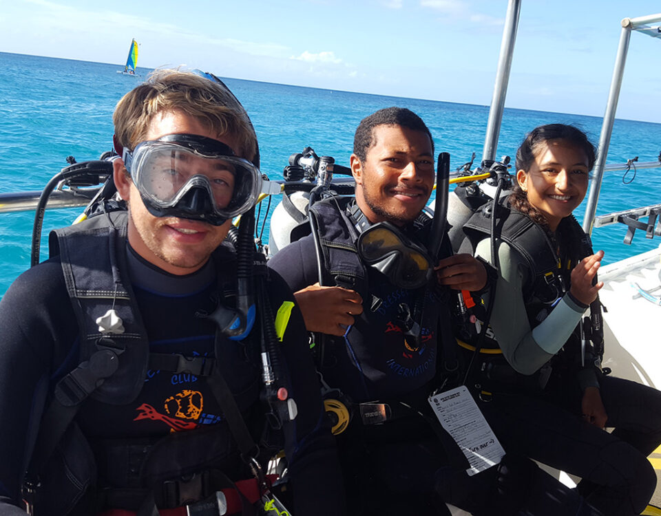 PADI IDC price - main