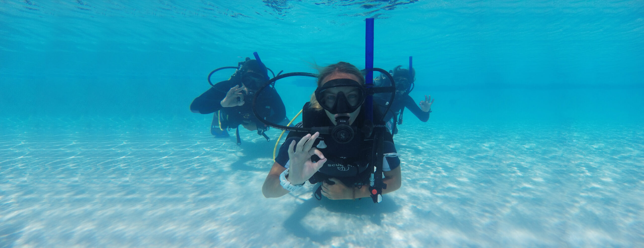 FREE Scuba Diving Internships With Dressel Divers