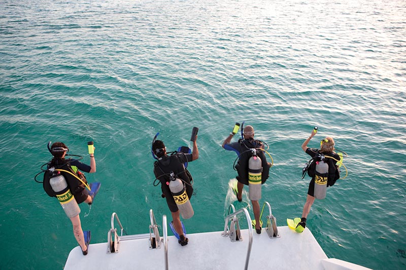 PADI Specialty Courses - Cursos de Especialidades PADI (2)