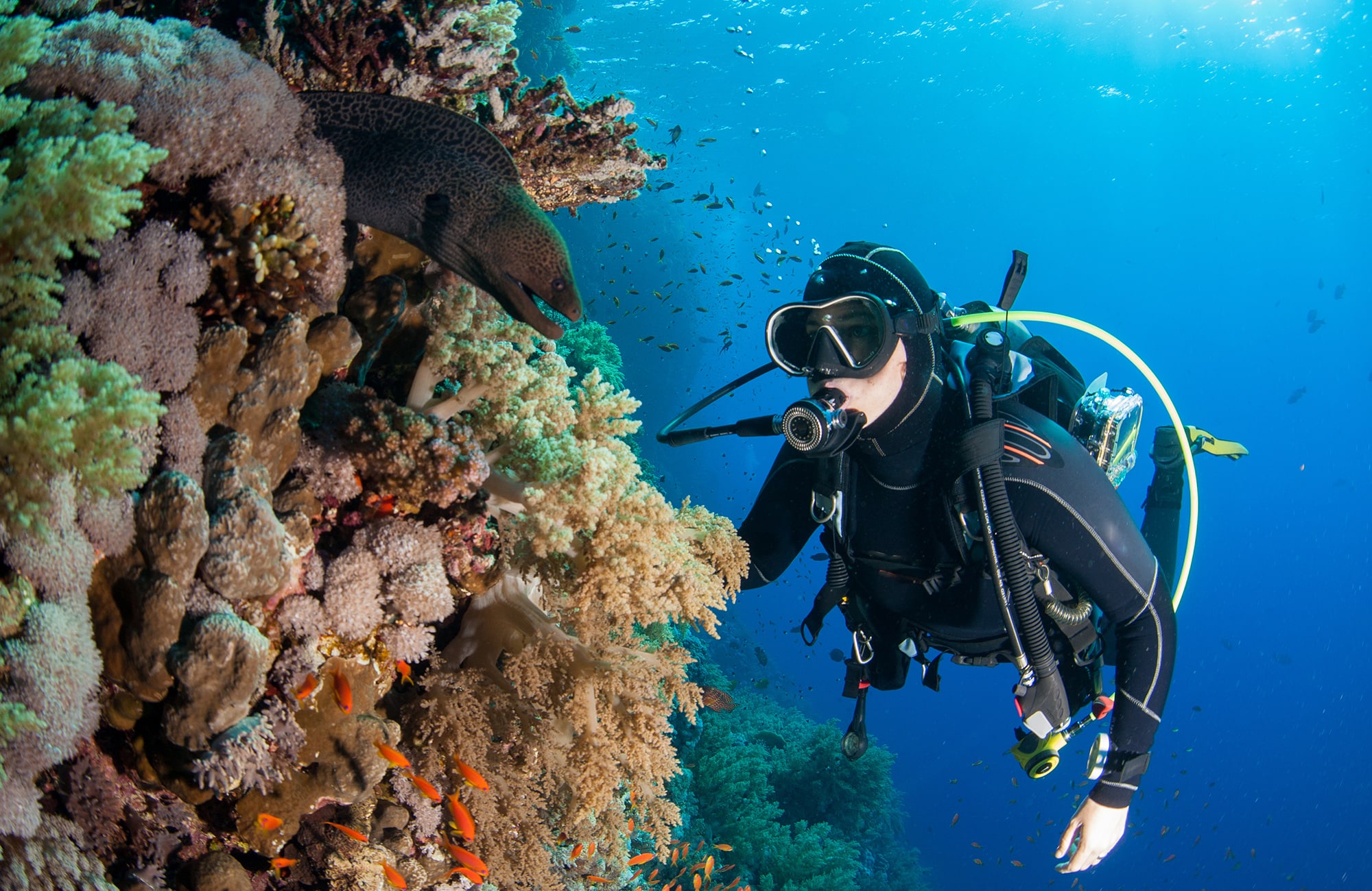 PADI Specialty - Especialidad PADI - (3)